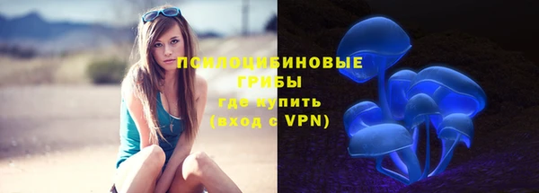 сатива Армянск