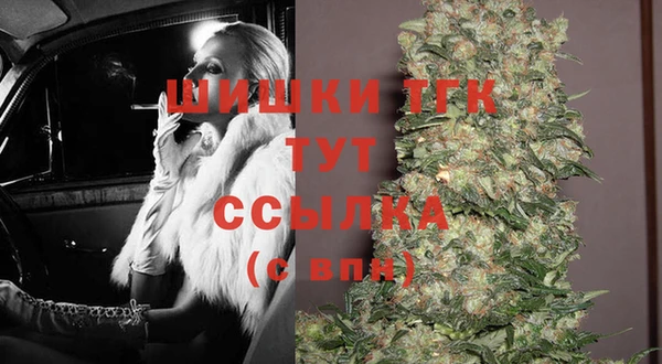 сатива Армянск