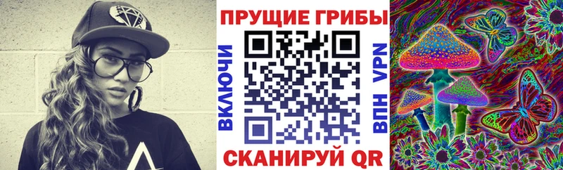 Галлюциногенные грибы MAGIC MUSHROOMS  купить   KRAKEN как зайти  Пущино 