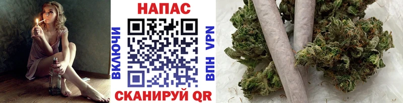 Шишки марихуана Ganja  наркота  Пущино 